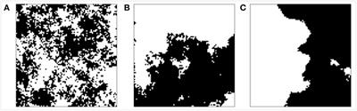 Disturbance Size Can Be Compensated for by Spatial Fragmentation in Soil <mark class="highlighted">Microbial Ecosystems</mark>